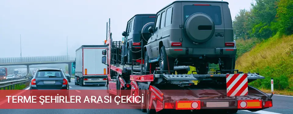 Terme İlçemi Şehirler Arası Çekici